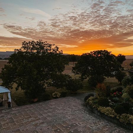 Weingut U. Gaestehaus Vogt-Fehlinger Biebelsheim エクステリア 写真