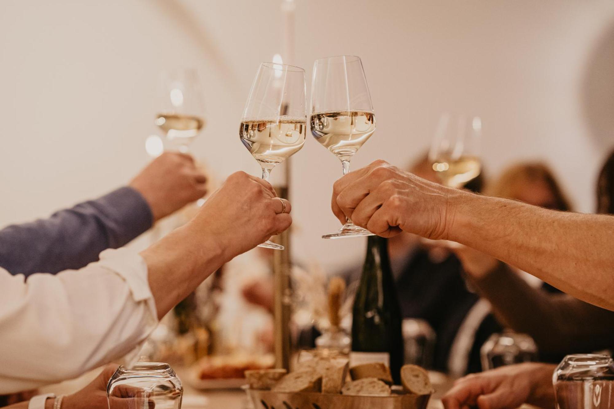 Weingut U. Gaestehaus Vogt-Fehlinger Biebelsheim エクステリア 写真