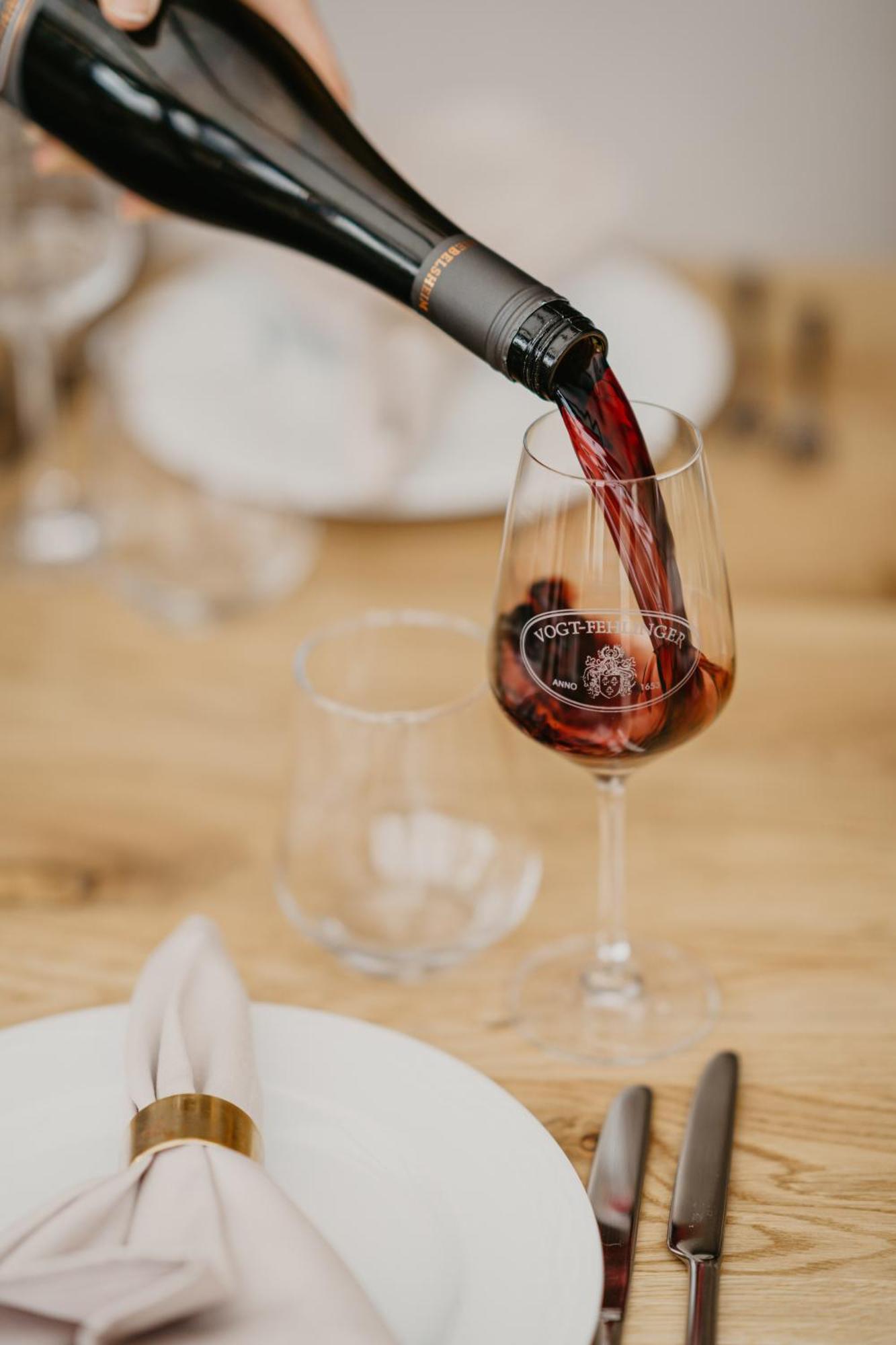 Weingut U. Gaestehaus Vogt-Fehlinger Biebelsheim エクステリア 写真
