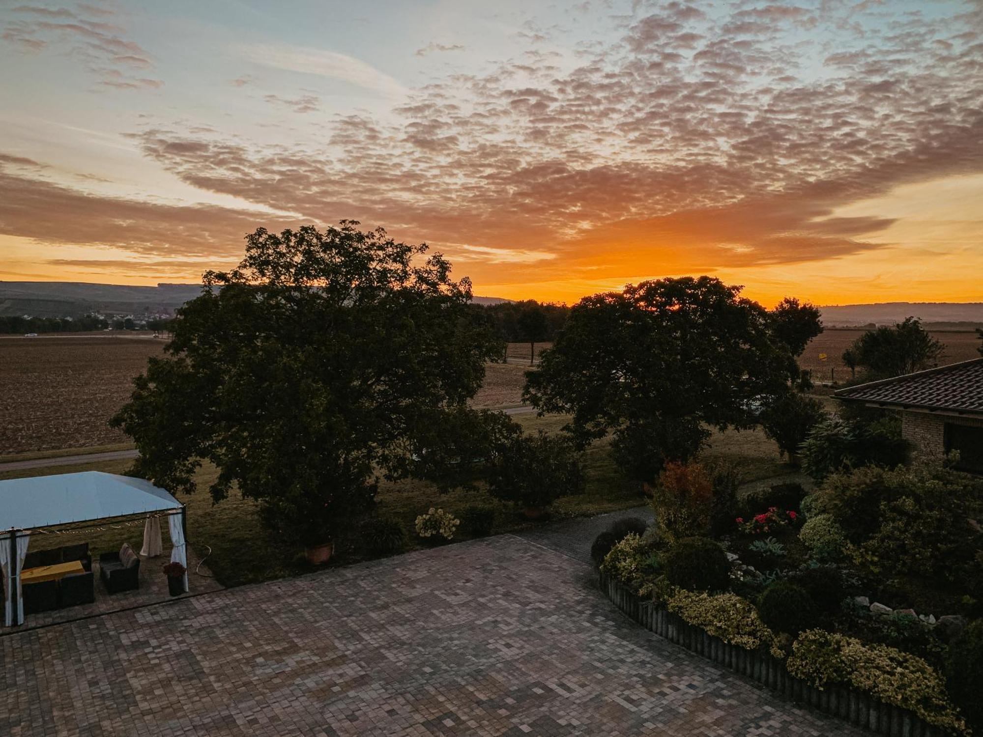 Weingut U. Gaestehaus Vogt-Fehlinger Biebelsheim エクステリア 写真